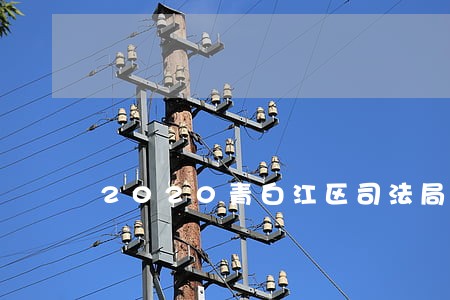 2020青白江区司法局新领导班子 2020青白江区司法局新领导班子