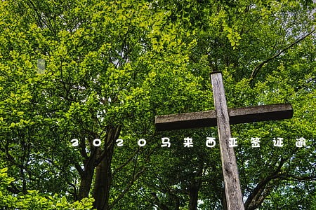 2020马来西亚签证逾期自首 2020马来西亚签证逾期自首