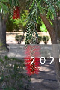 2020高炮逾期下款 2020高炮逾期下款