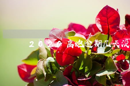 2020高炮逾期几天没催收 2020高炮逾期几天没催收