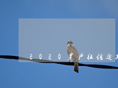 2020黑户征信逾期能下吗 2020黑户征信逾期能下吗
