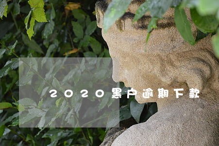 2020黑户逾期下款 2020黑户逾期下款