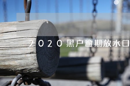 2020黑户逾期放水口子 2020黑户逾期放水口子