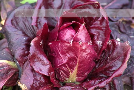 高校邦安全教育2答案（高校安全知识网络答题答案） 高校邦安全教诲
2答案（高校安全知识网络答题答案）《高校邦安全教育答案》 教育知识