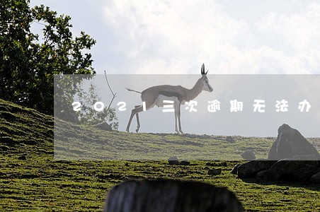 2021三次逾期无法办理借贷 2021三次逾期无法办理借贷