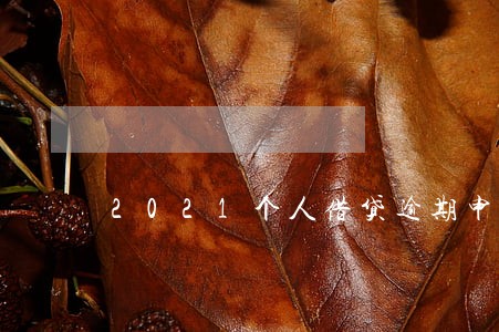 2021个人借贷逾期申请 2021个人借贷逾期申请