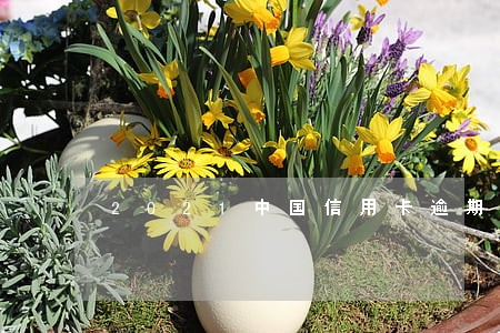 2021中国信用卡逾期的人多吗