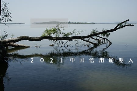 2021中国信用逾期人数 2021中国信用逾期人数