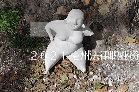2021亳州法律职业资格工资 2021亳州法律职业资格工资