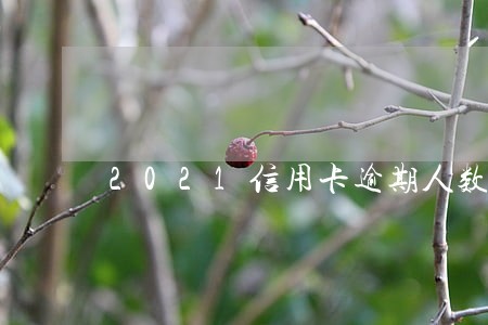 2021信用卡逾期人数 2021信用卡逾期人数