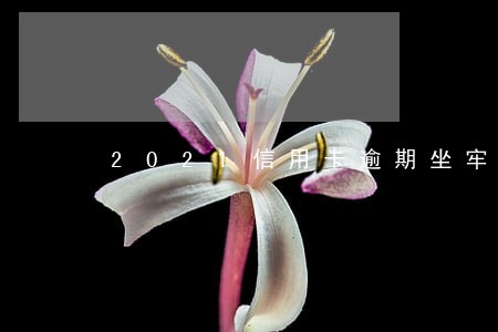 2021信用卡逾期坐牢