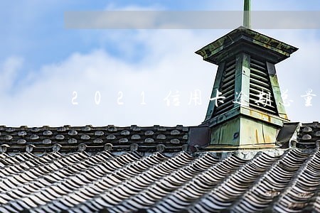 2021信用卡逾期总量