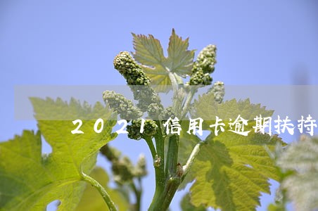 2021信用卡逾期扶持政策 2021信用卡逾期扶持政策