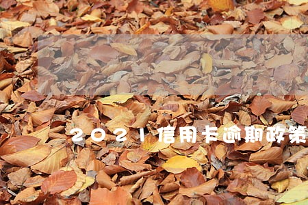 2021信用卡逾期政策 2021信用卡逾期政策