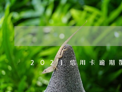 2021信用卡逾期覆盖记录