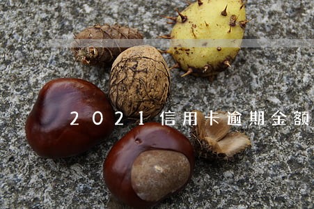 2021信用卡逾期金额 2021信用卡逾期金额