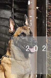 2021借呗逾期两年多上门 2021借呗逾期两年多上门