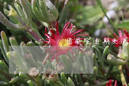 2021借贷宝逾期交流 2021借贷宝逾期交流
