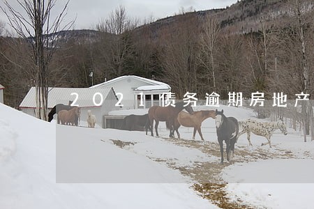 2021债务逾期房地产 2021债务逾期房地产