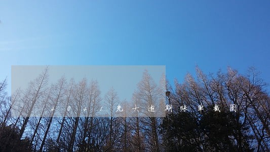 2021光大逾期账单截图 2021光大逾期账单截图