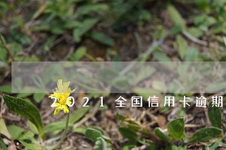 2021全国信用卡逾期数据 2021全国信用卡逾期数据