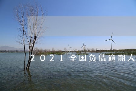 2021全国负债逾期人数 2021全国负债逾期人数