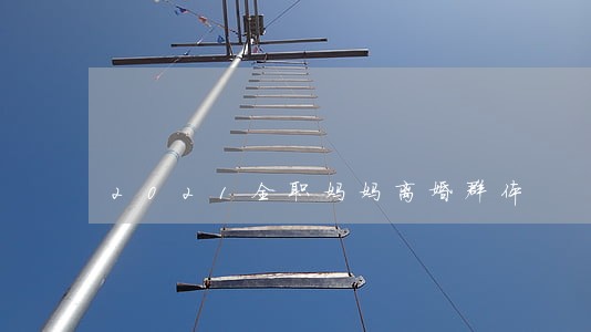 2021全职妈妈离婚群体