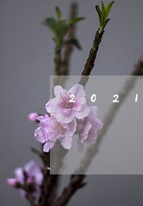 2021刑法时效 2021刑法时效