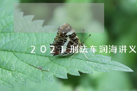 2021刑法车润海讲义 2021刑法车润海讲义