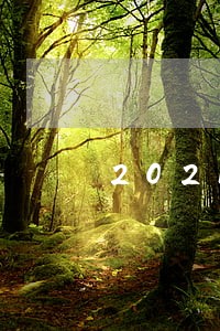 2021判决书逾期利息的计算 2021判决书逾期利息的计算
