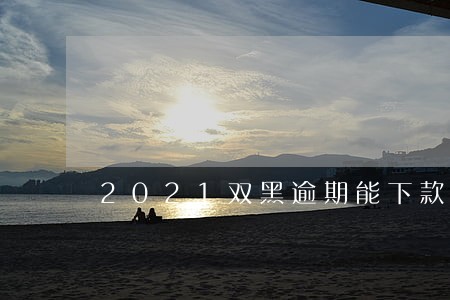 2021双黑逾期能下款的口子