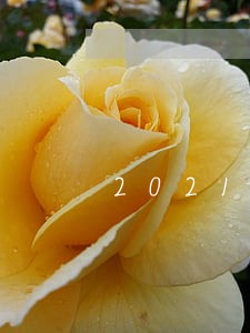 2021如何协议离婚 2021如何协议离婚