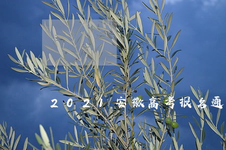 2021安徽高考报名通知逾期 2021安徽高考报名通知逾期