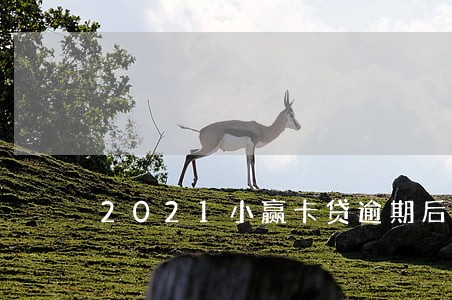2021小赢卡贷逾期后果 2021小赢卡贷逾期后果