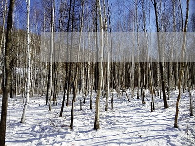 2021年2月1日实施的法律法规 2021年2月1日实施的法律法规