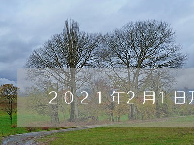 2021年2月1日开始施行的法律