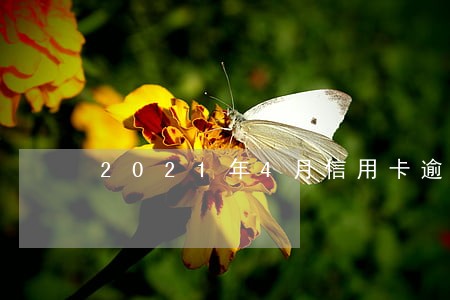 2021年4月信用卡逾期人多吗 2021年4月信用卡逾期人多吗