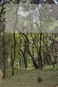 2021年6月信用卡逾期新政策