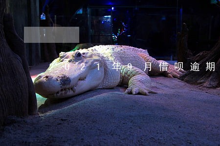2021年9月借呗逾期图片 2021年9月借呗逾期图片