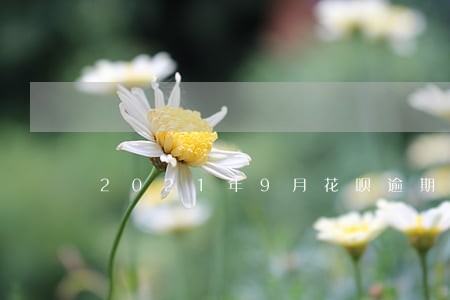 2021年9月花呗逾期的图片