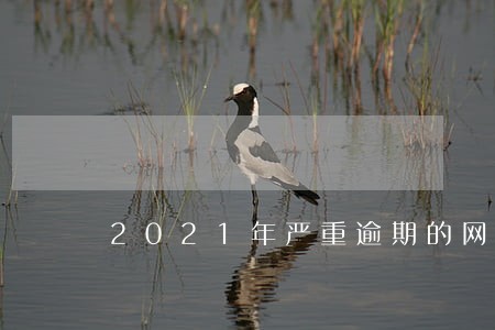 2021年严重逾期的网贷 2021年严重逾期的网贷