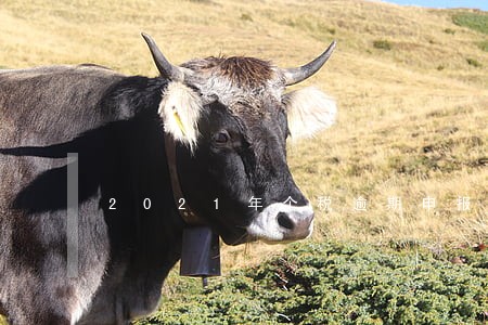 2021年个税逾期申报方法 2021年个税逾期申报方法