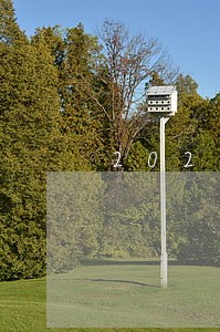 2021年中银消费逾期