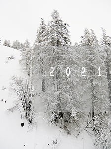 2021年丹阳市律师费收费标准