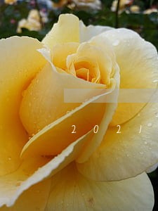 2021年乡城县律师费收费标准 2021年乡城县律师费收费标准
