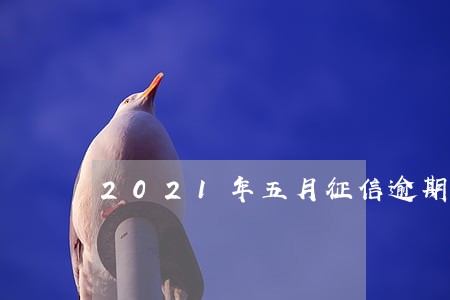 2021年五月征信逾期能下款的 2021年五月征信逾期能下款的