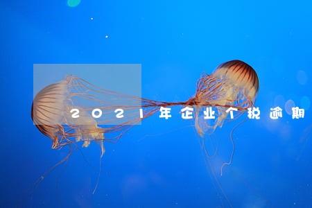 2021年企业个税逾期申报 2021年企业个税逾期申报