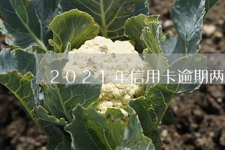 2021年信用卡逾期两年 2021年信用卡逾期两年