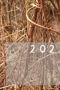 2021年信用卡逾期几天