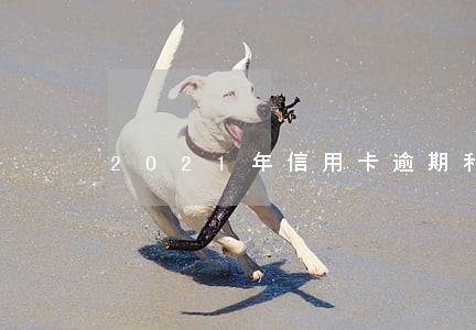 2021年信用卡逾期利息新规 2021年信用卡逾期利息新规
